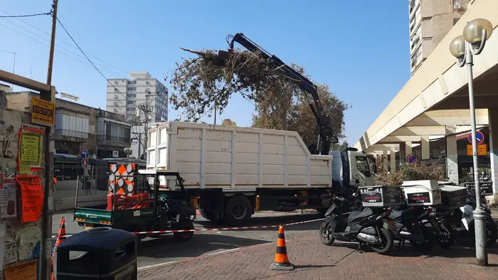 הכשרת התוואי: מחפרון מעמיס פסולת וגזם למשאית ברחוב עירוני.